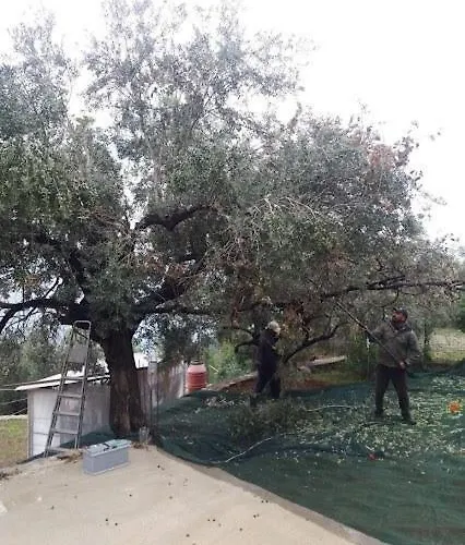 Casa de Férias Hillside Over Lemonodasos